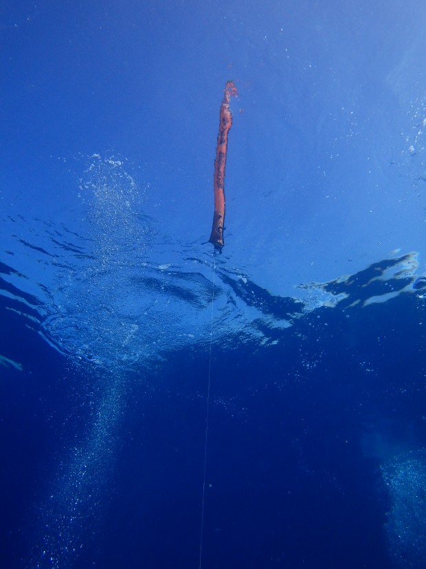 鏡のような水面