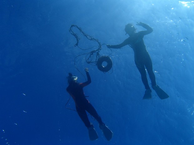 水面に浮くスノーケラー