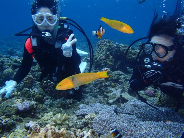 体験ダイバーと魚たち