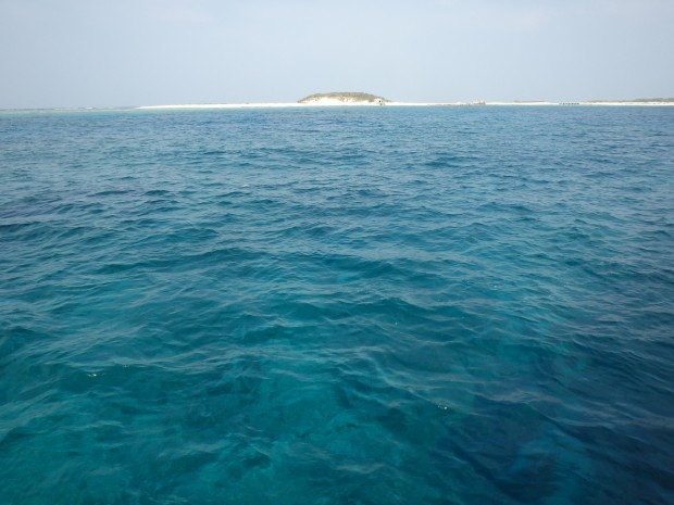 神山島遠景