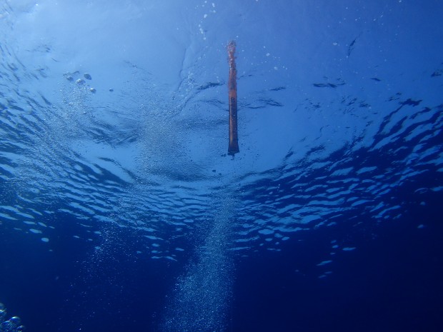 ベタナギの水面