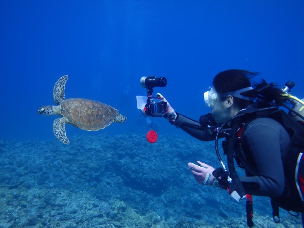 カメを摂るダイバー