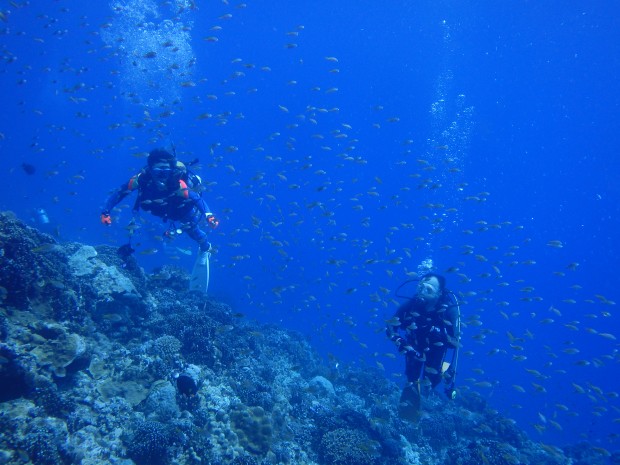 魚影とダイバー