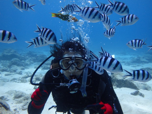 魚とダイバー