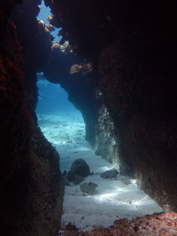 ハテ島水中