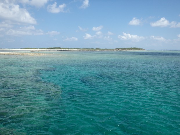 無人島上陸