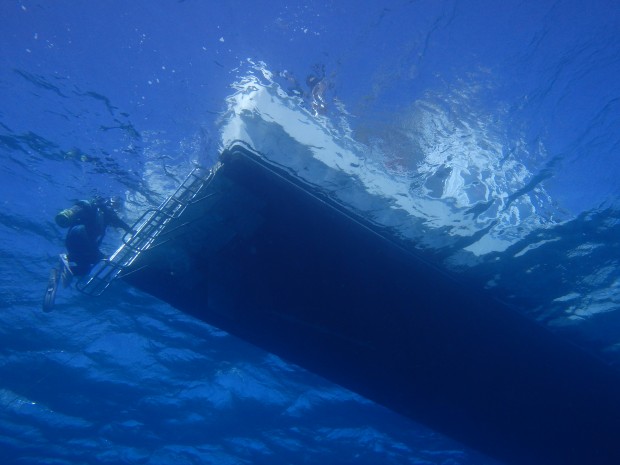 好天の水面