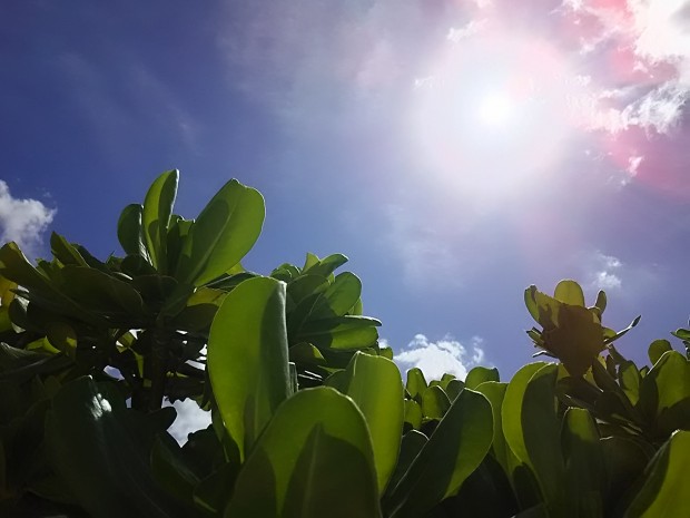 強い陽射しと青空