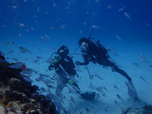 魚とダイバー