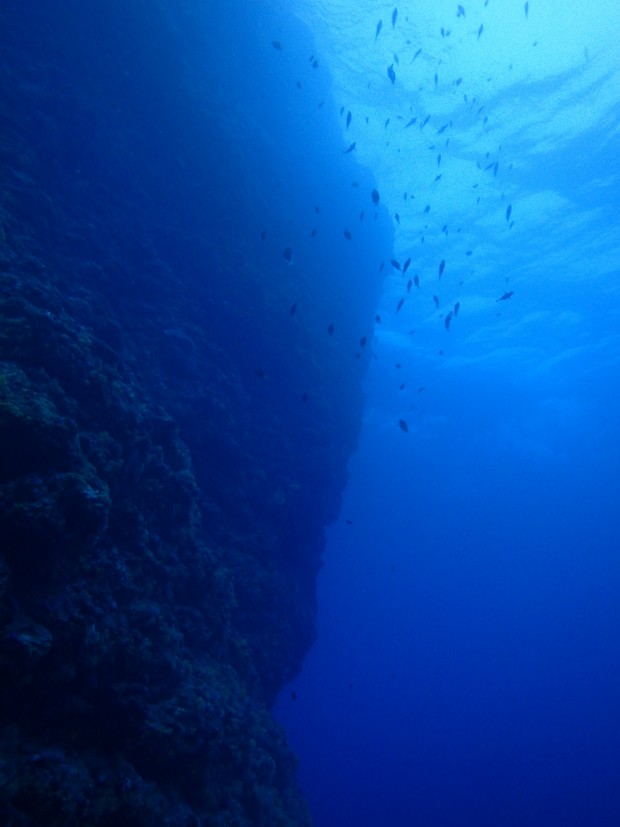 黒島北