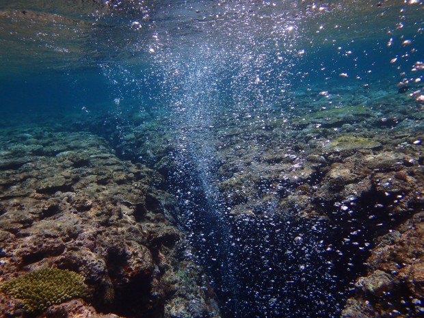 泡と水面