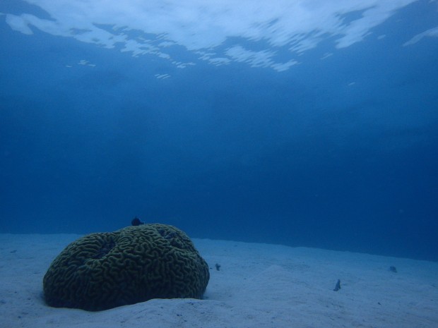 穏やかな水面