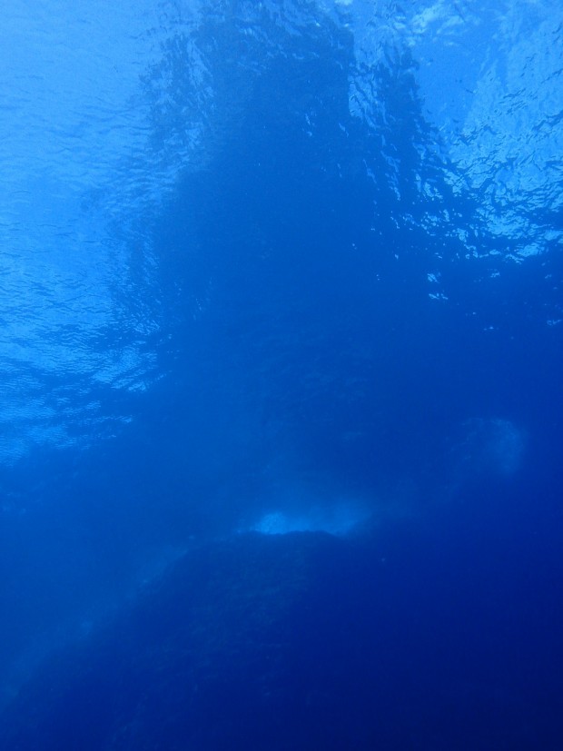 水中から見る島影