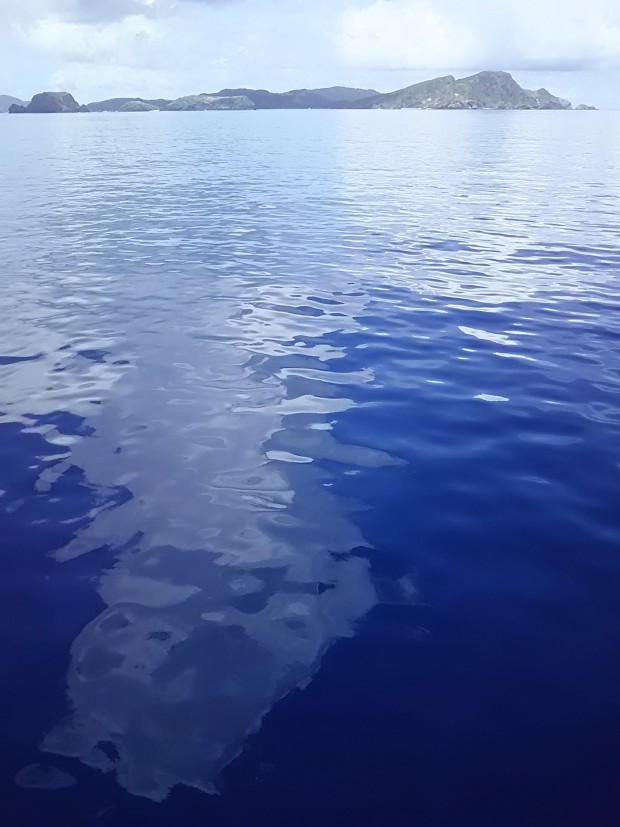 鏡のような水面