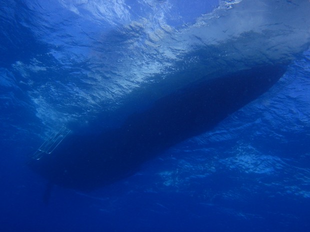 揺れる水面