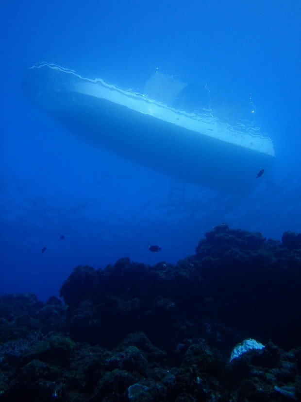 ベタナギの水面