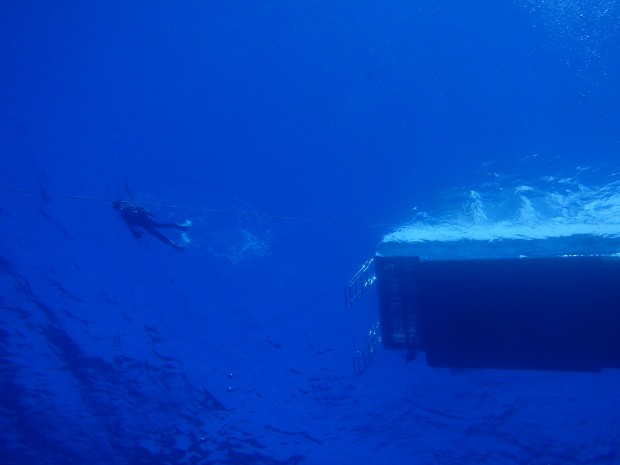 水面に浮かぶダイバー