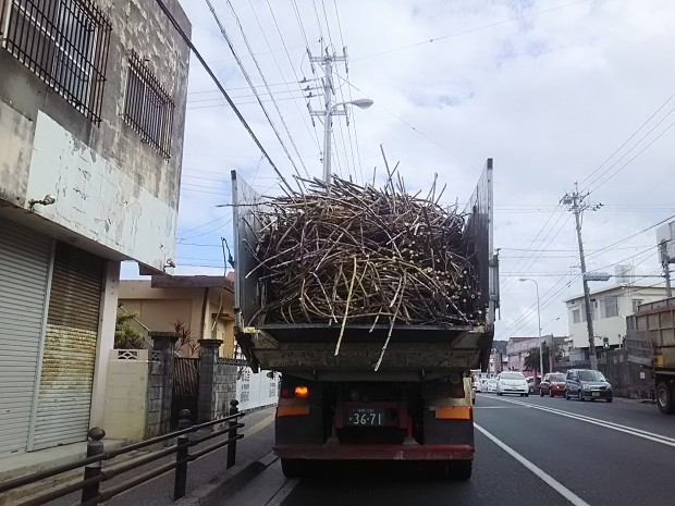 サトウキビ運搬