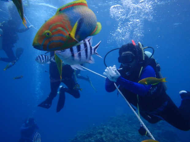 魚とダイバー