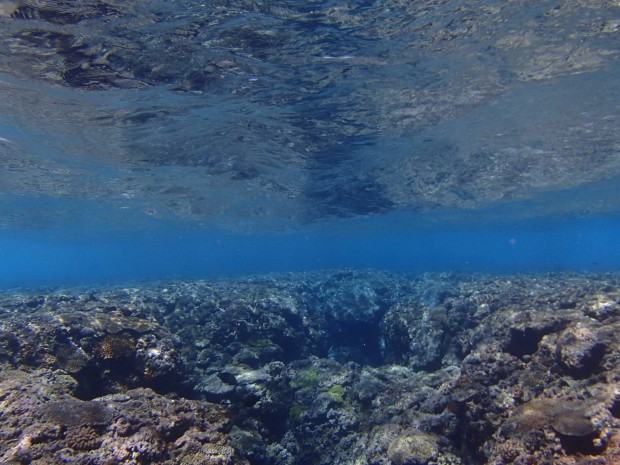 穏やかな水面