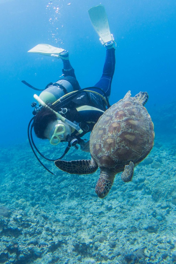 カメと遊ぶダイバー