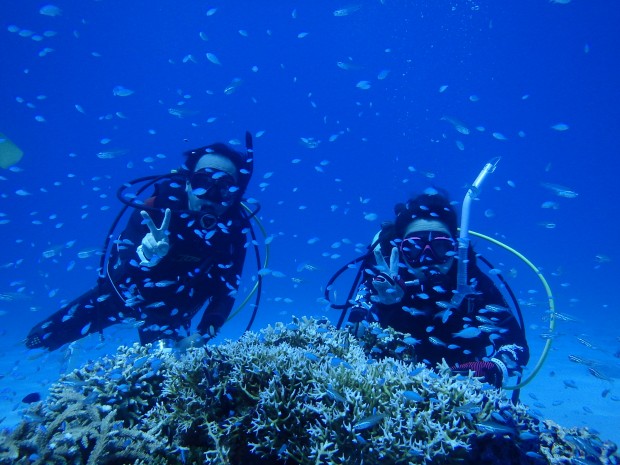 魚影とダイバー