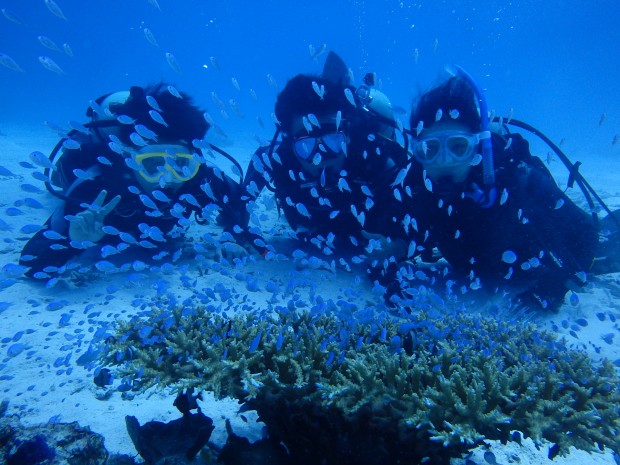 魚とダイバー