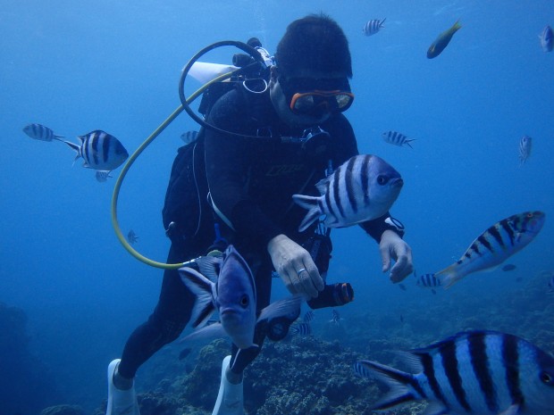 魚とダイバー