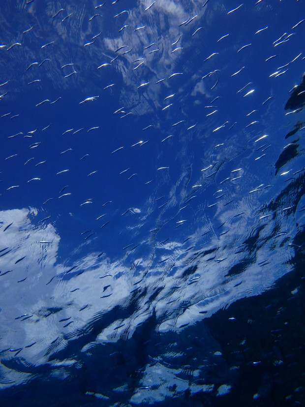 水面越しの空