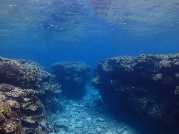 浅場