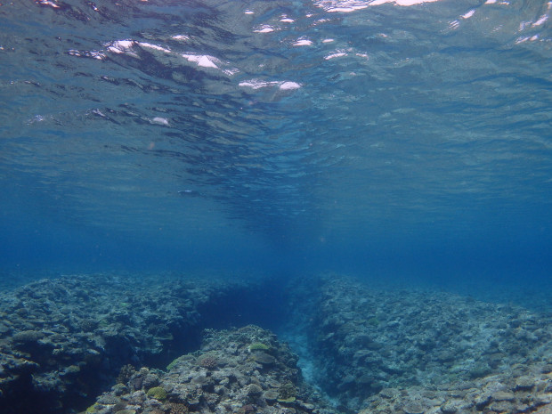 水面