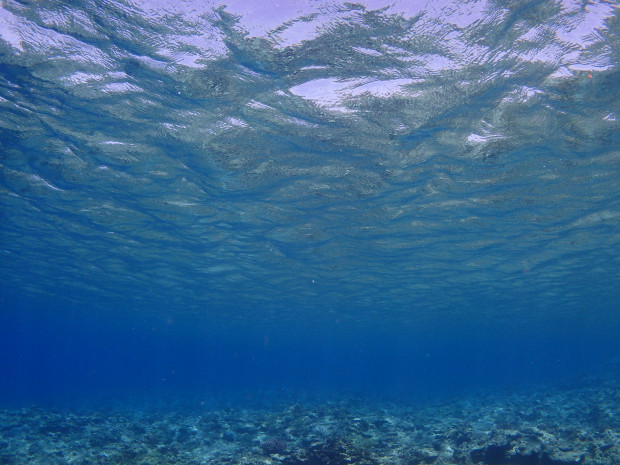 水面