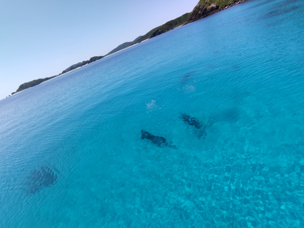 穏やかな海