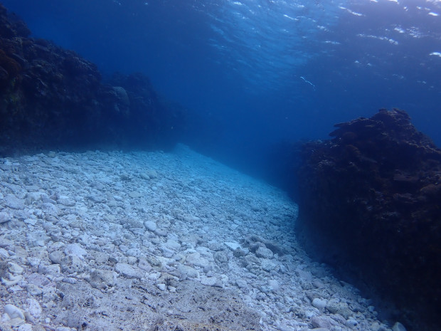 浅場