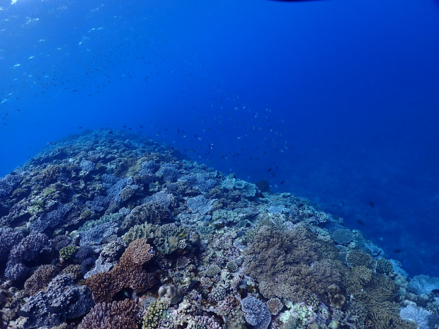 宜野湾