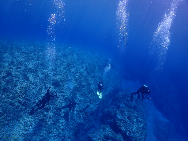 クリアブルーの世界に賑やか・鮮やかな魚影が映える！ケラマ・黒島ダイビング