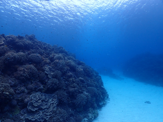 砂地と水面