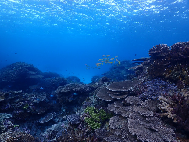 クエフ島