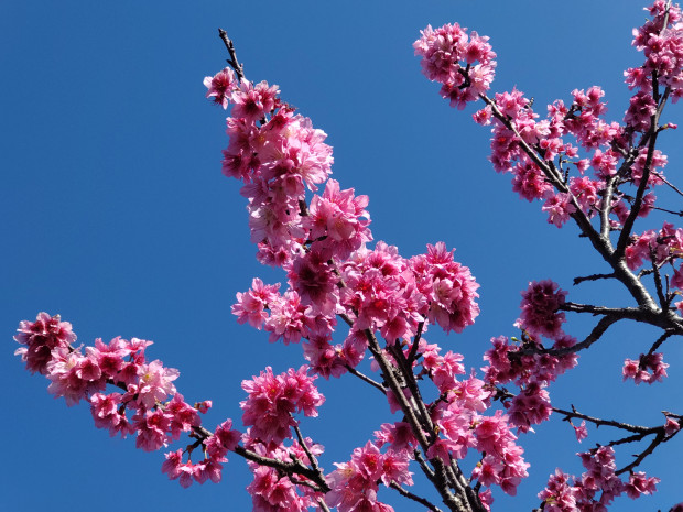 青空