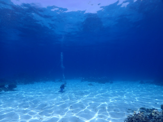 水中