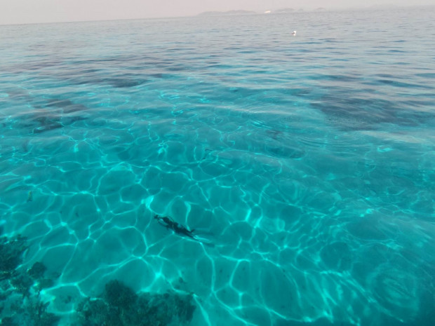 ダイバーと島