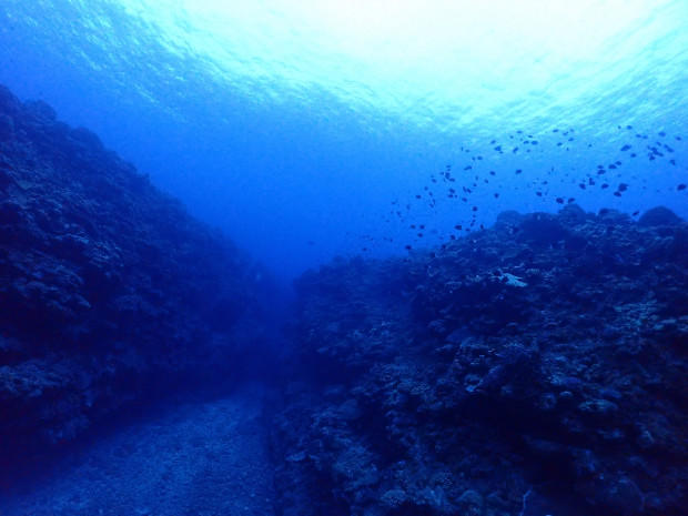 黒島北