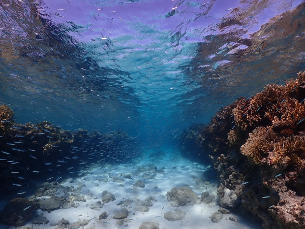 水の色