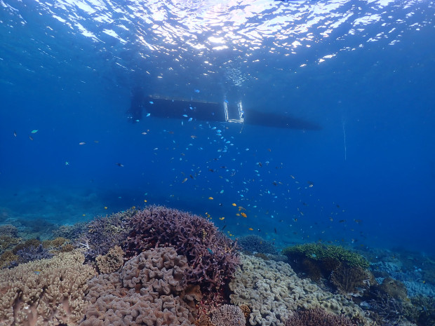 宜野湾の海