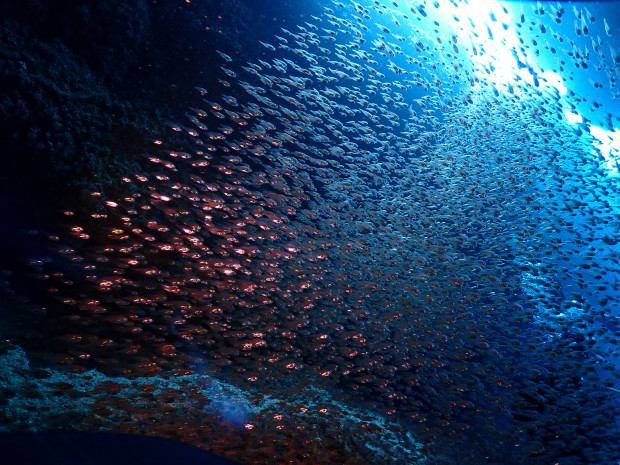 キラキラ