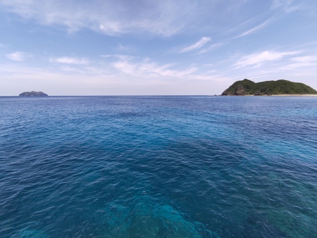 海