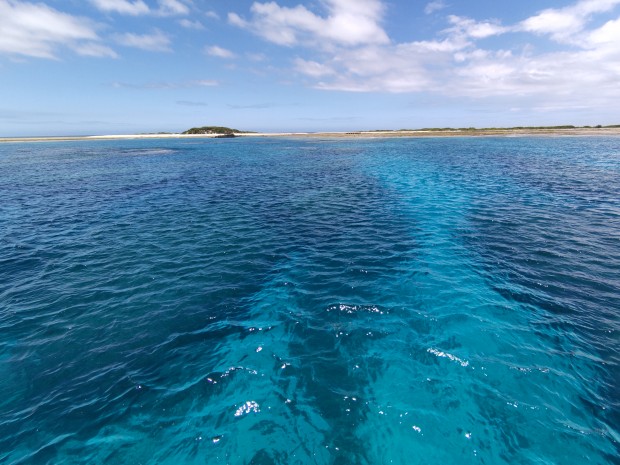 海