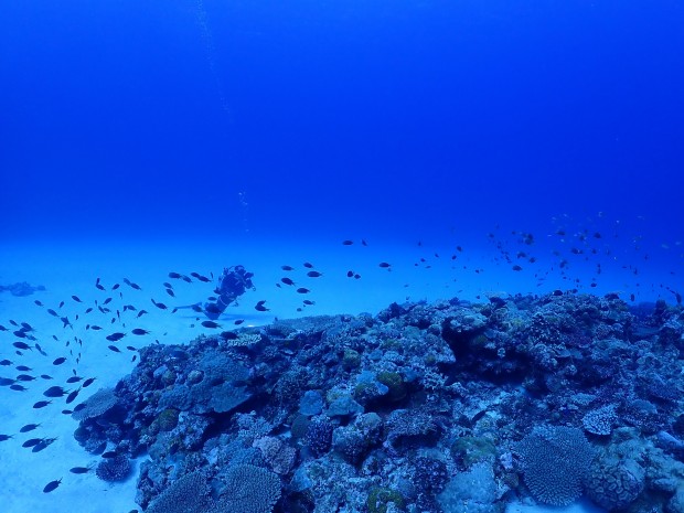 近海に停滞の熱帯低気圧と、向かってくる台風18号…でも今日はまだ最高の海でした！