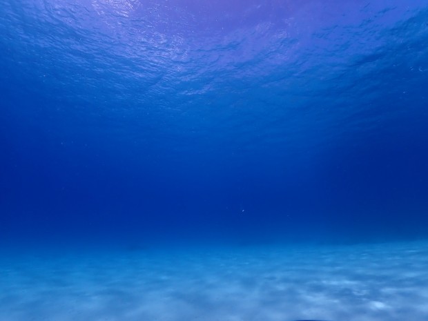 水中