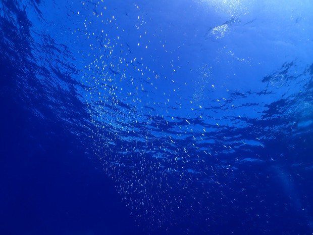 水面
